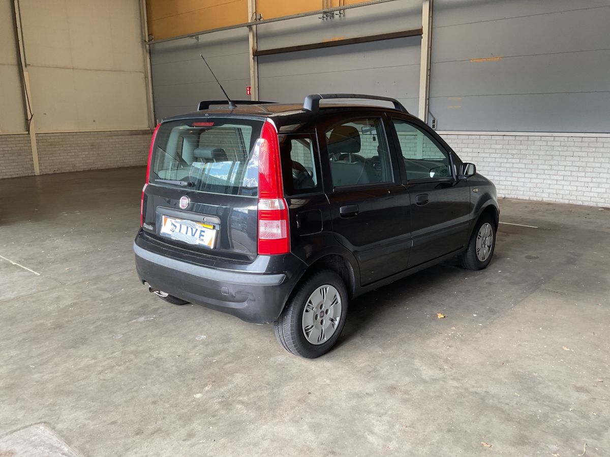 Fiat Panda 1.2 Edizione Magnifica