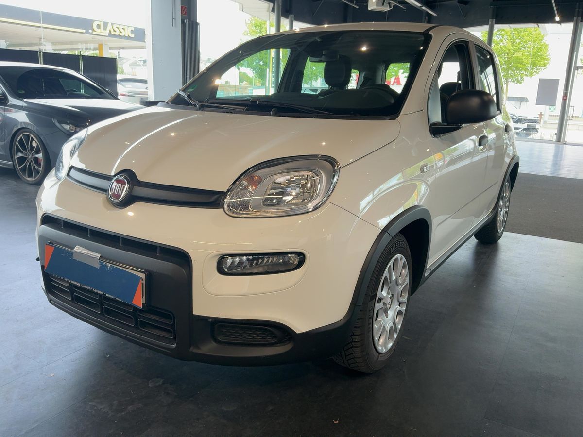 Fiat Panda 2024