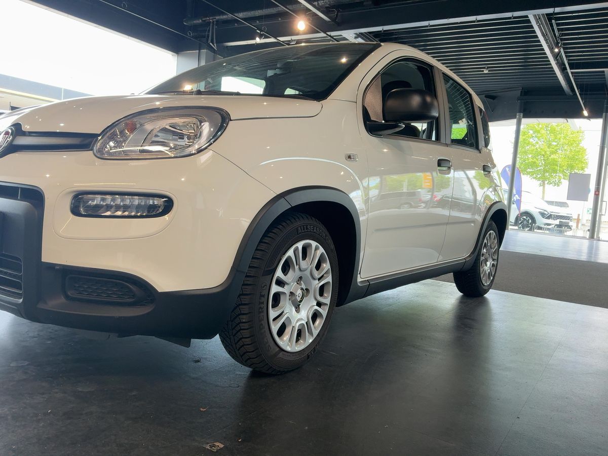 Fiat Panda d'occasion