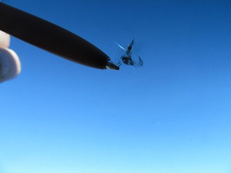 Mercedes-Benz Sprinter d'occasion