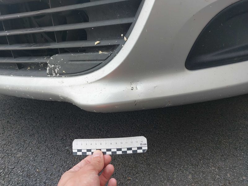 Citroen C4 1.6 HDi Millenium 2014 – снимка 39