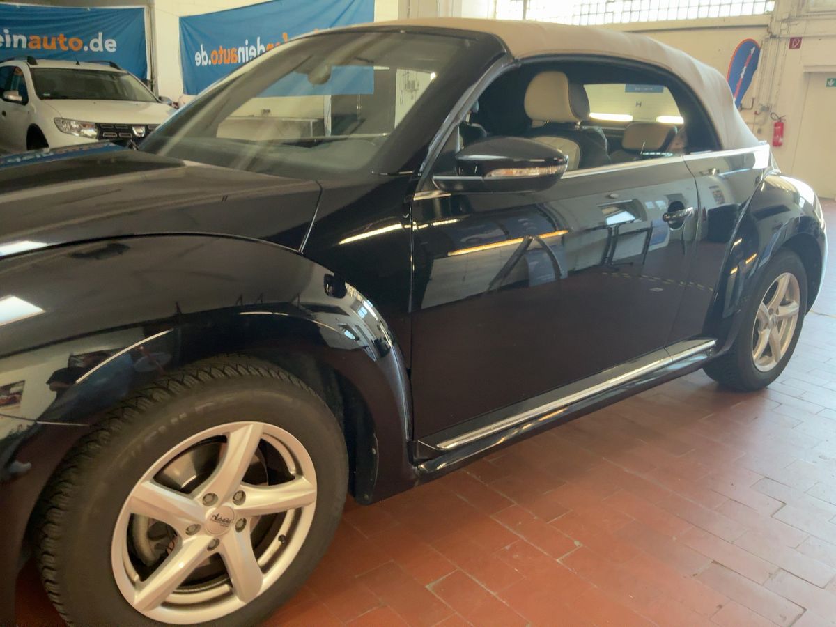 Volkswagen Beetle d'occasion