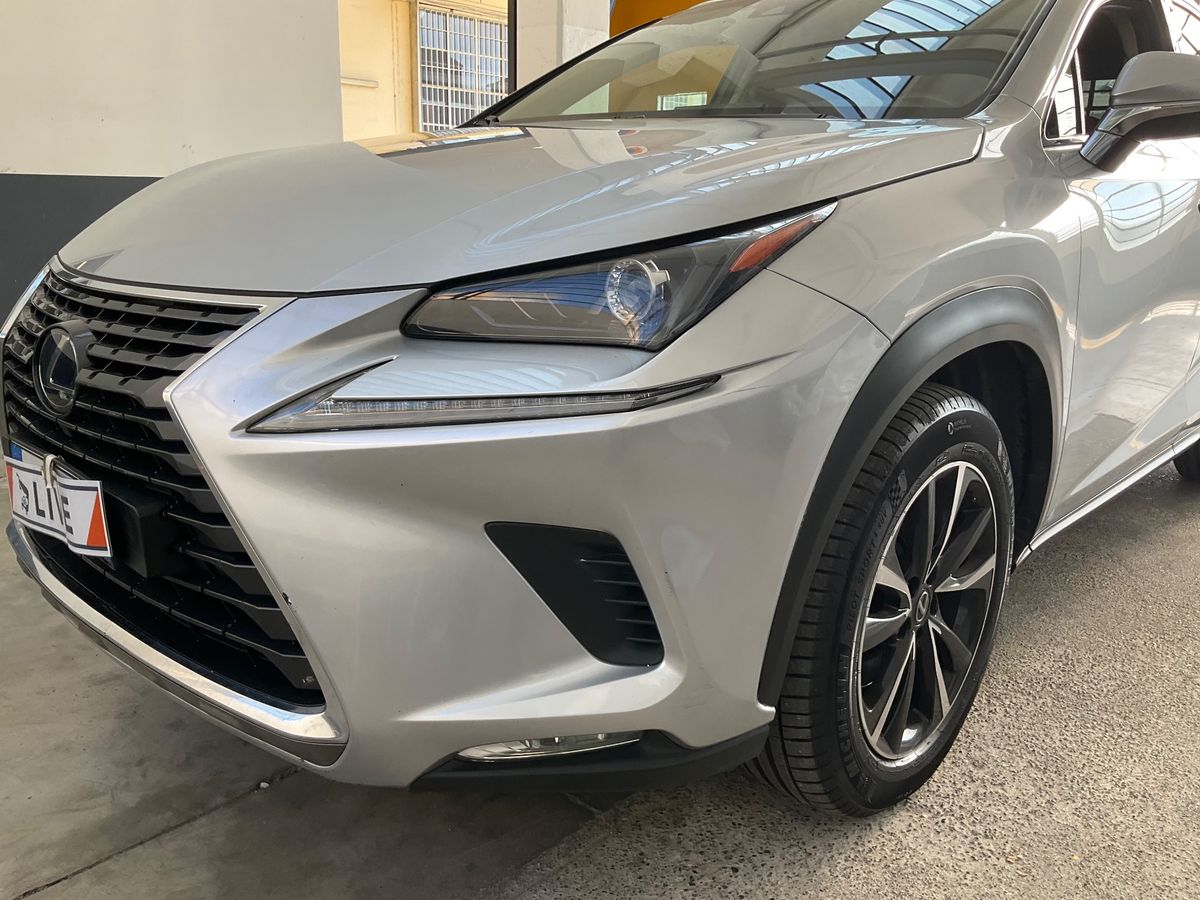 Lexus NX-Serie NX 300h E-Four Executive Line