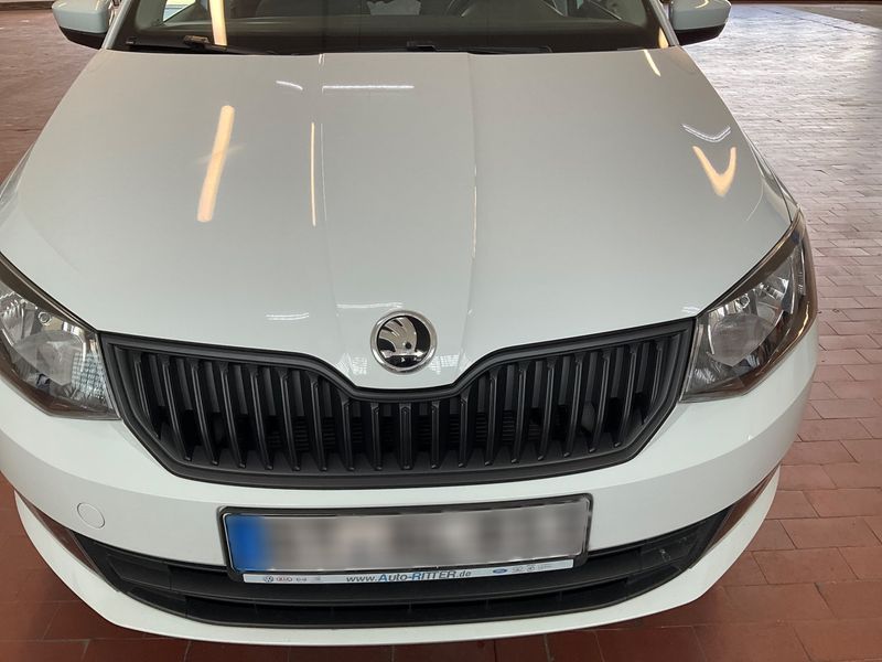 Skoda Fabia 1.2 TSI Cool Edition 2016 – снимка 28