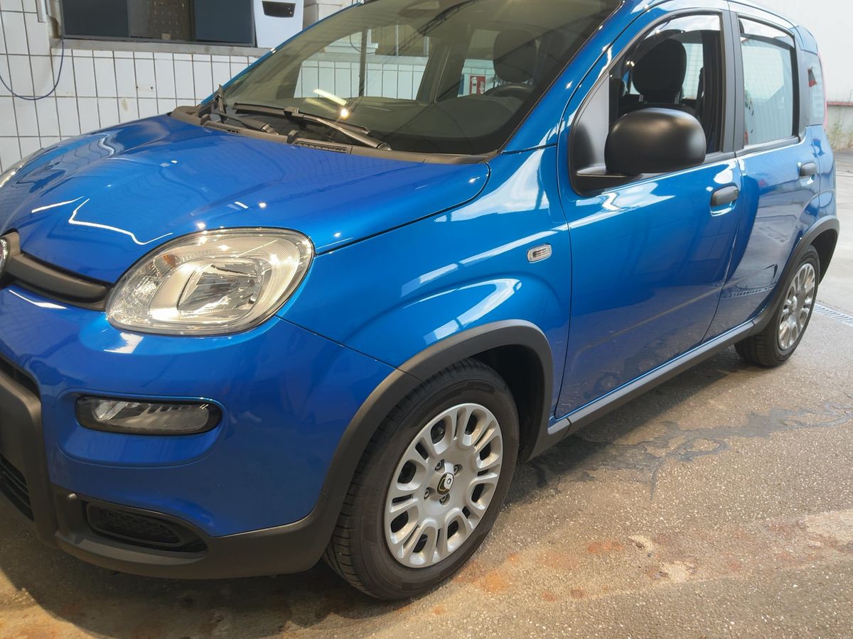 Fiat Panda d'occasion