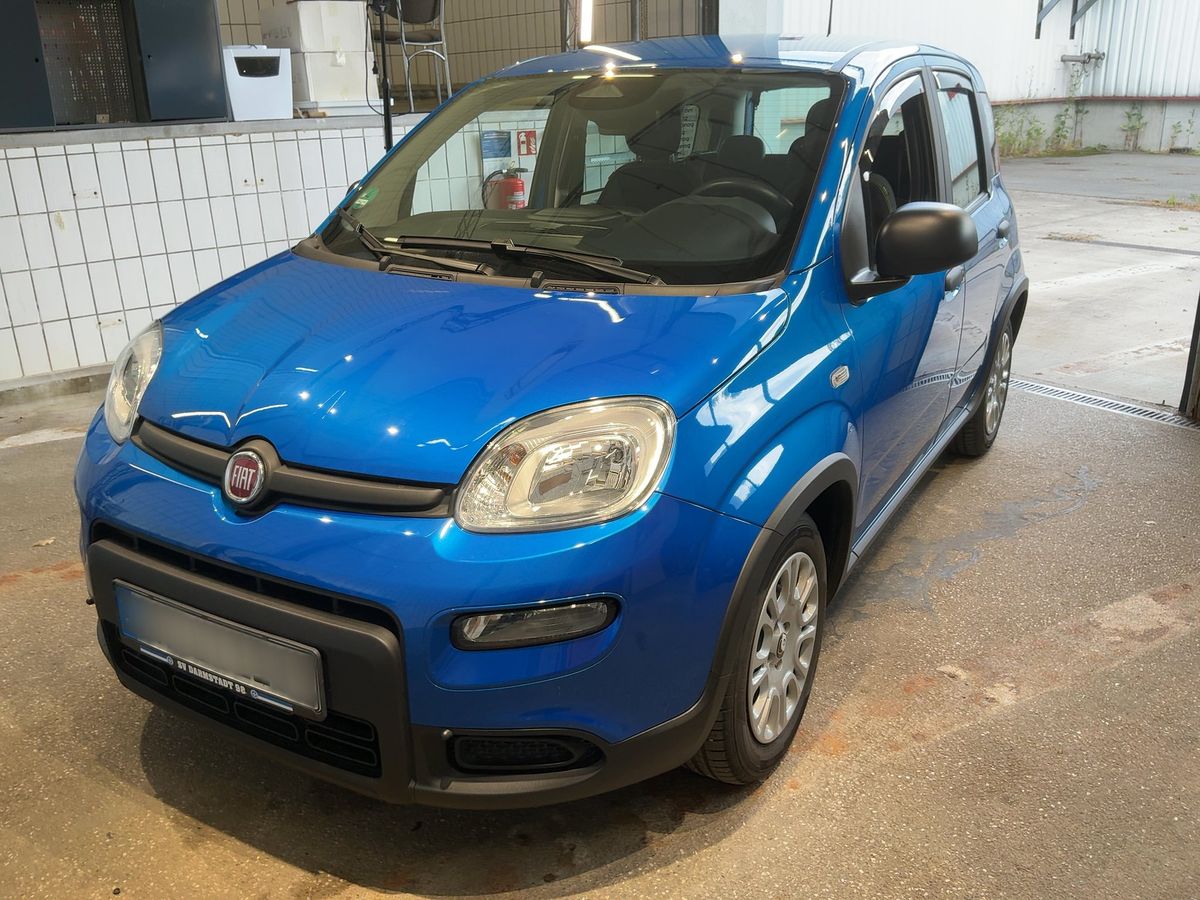 Fiat Panda 2024