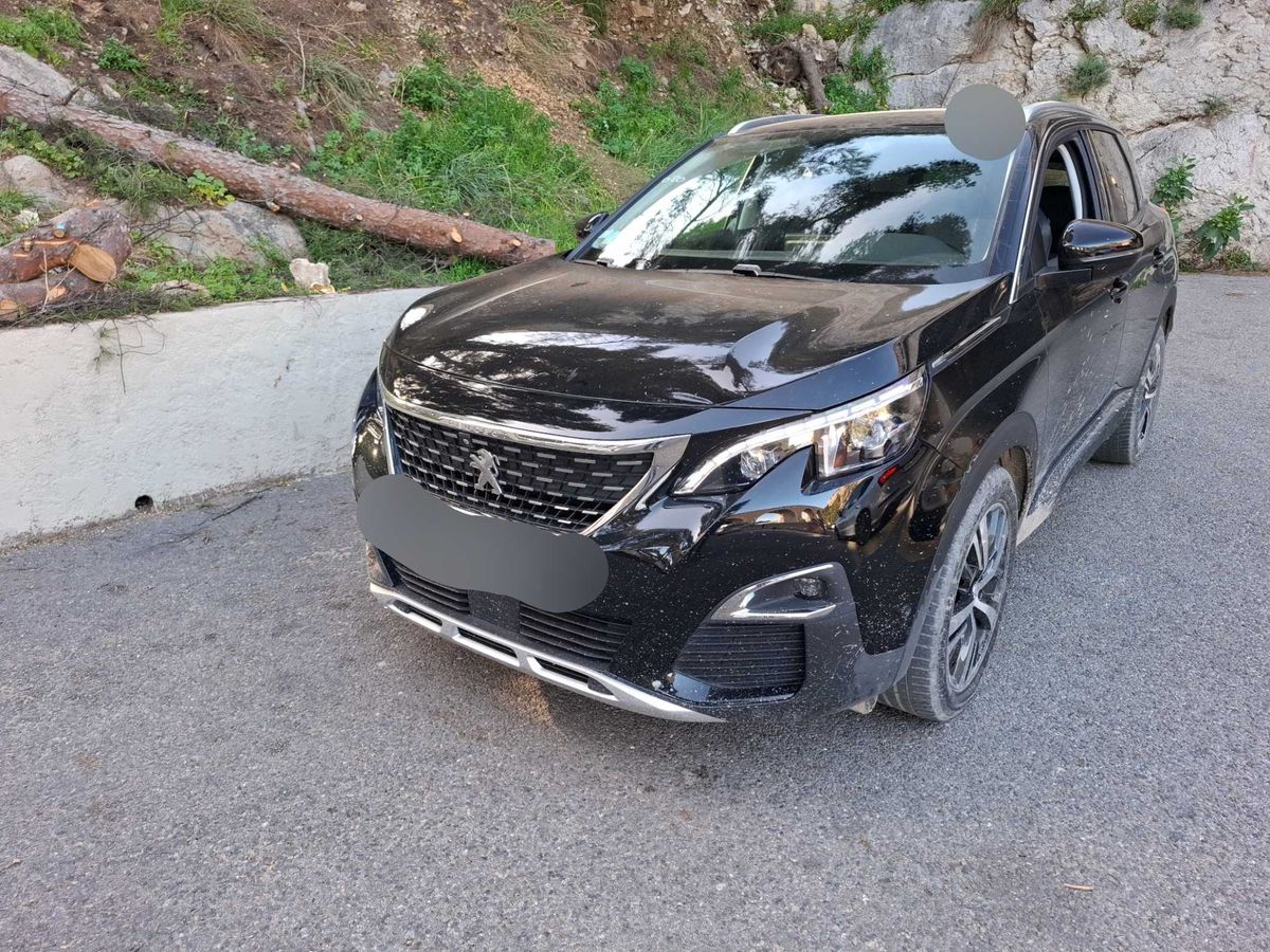 Peugeot 3008 d'occasion