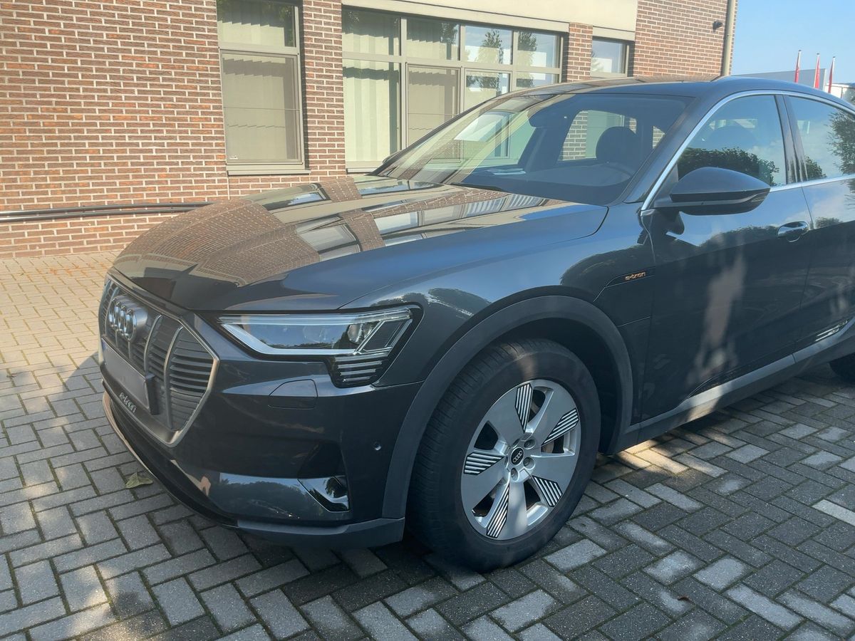 Audi e-tron d'occasion