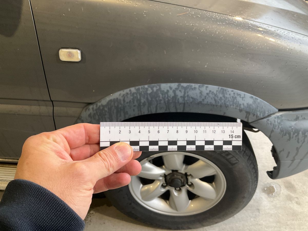 Nissan Terrano 2001 — photo 28
