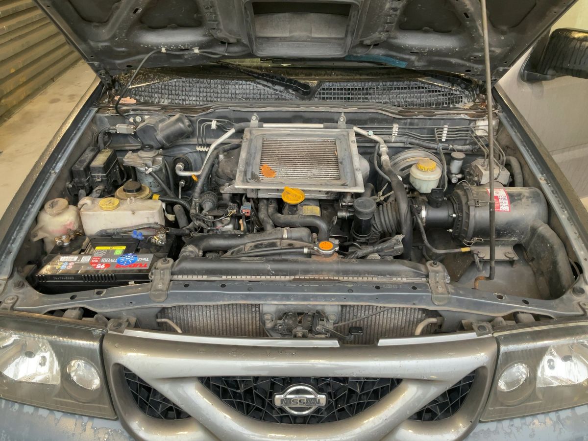 Nissan Terrano 2001 — photo 22