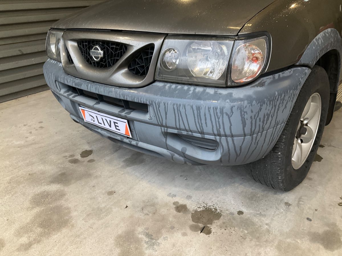Nissan Terrano 2001 — photo 58