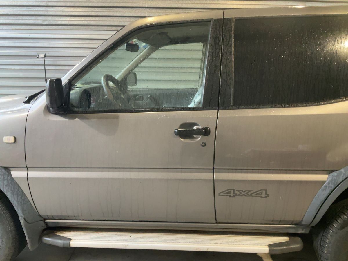 Nissan Terrano 2001 — photo 5
