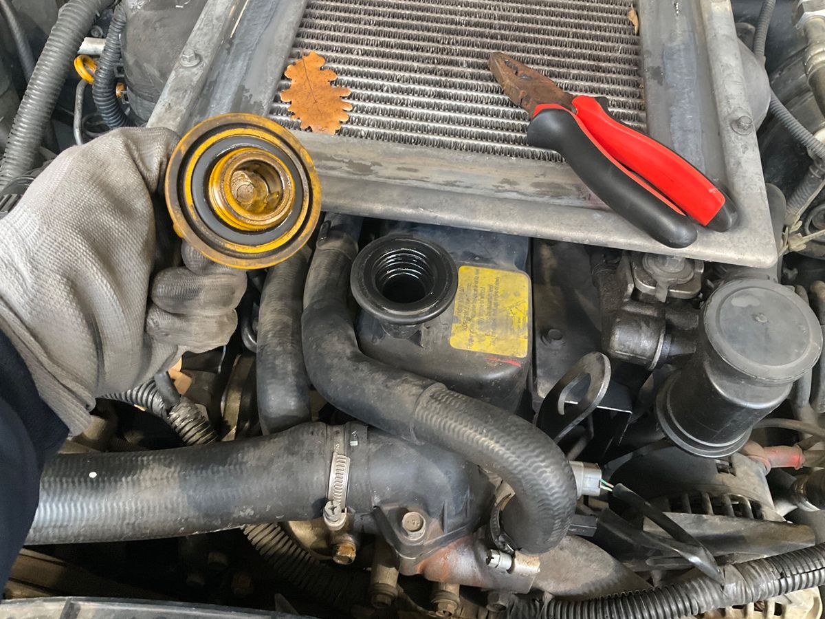 Nissan Terrano 2001 — photo 25
