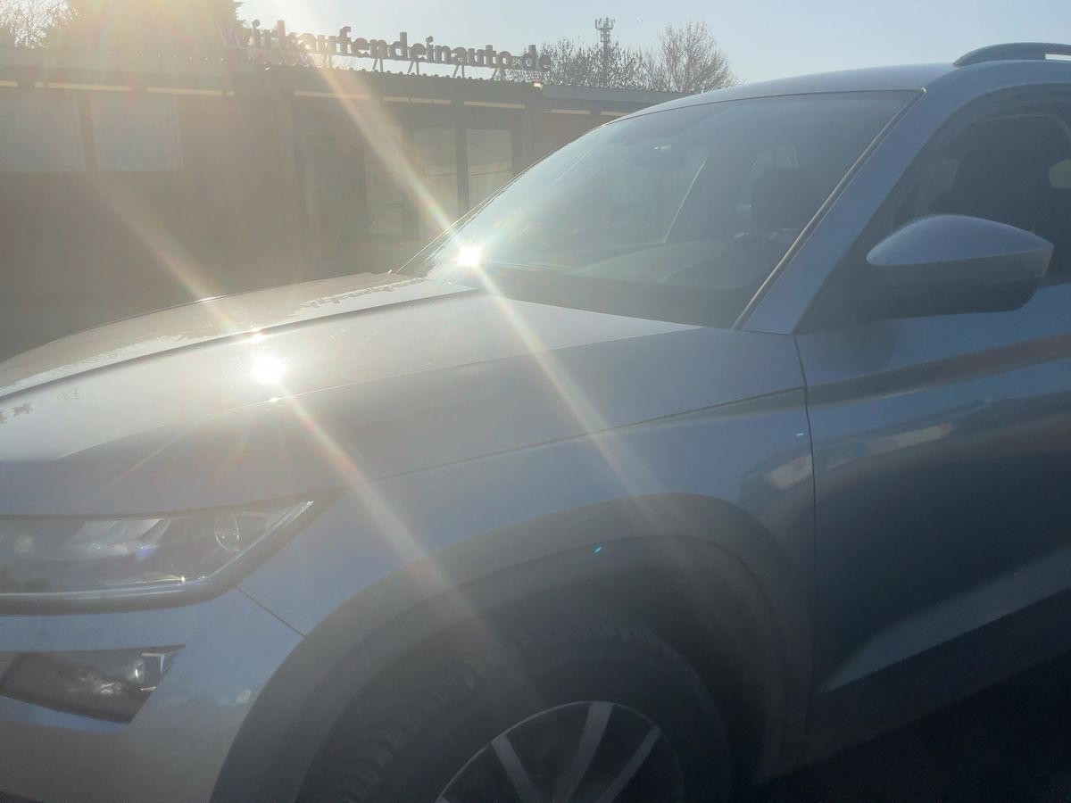 Skoda Kodiaq d'occasion