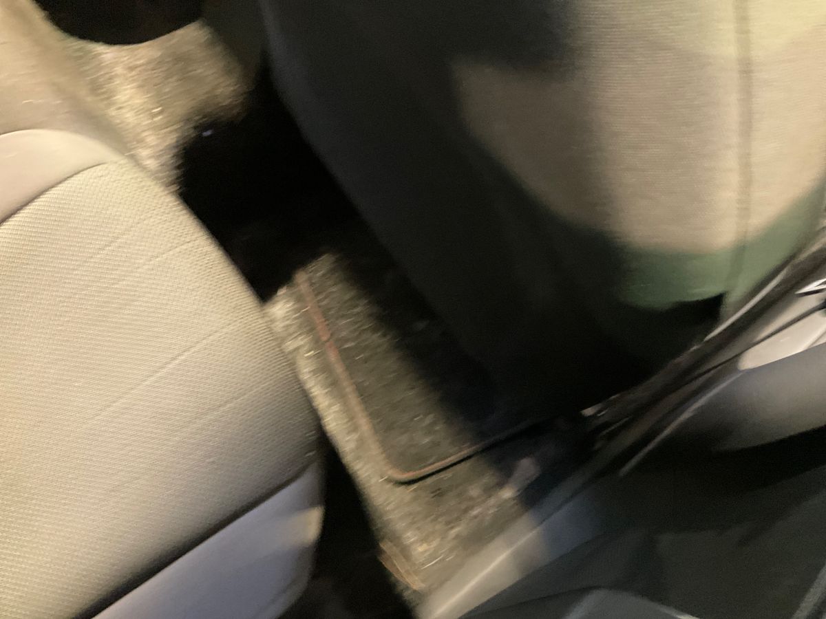 Seat Arona 2019 — photo 32