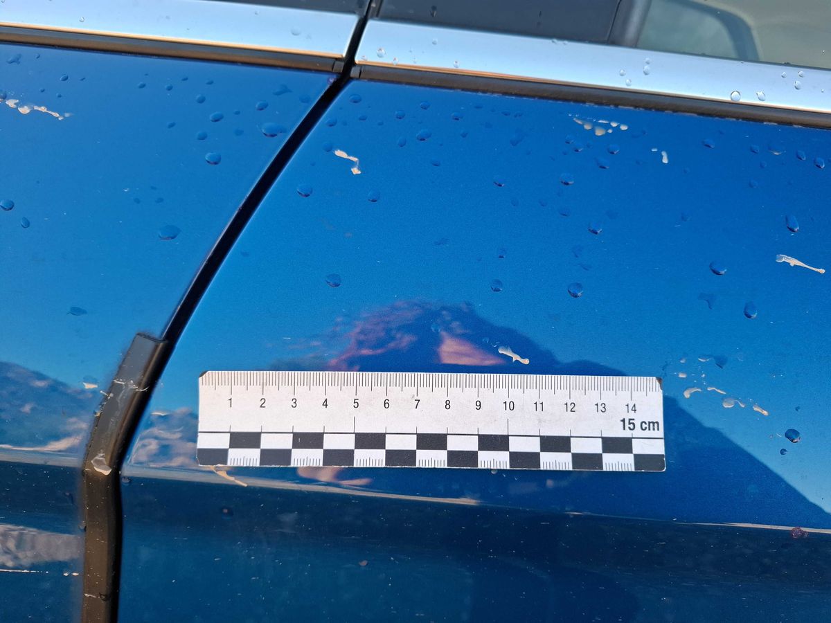 Ford EcoSport 2019 — photo 54