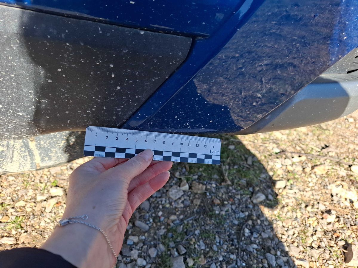 Ford EcoSport 2019 — photo 66