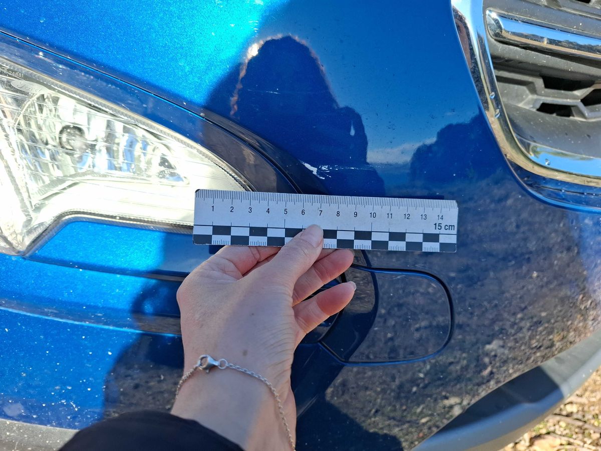 Ford EcoSport 2019 — photo 65