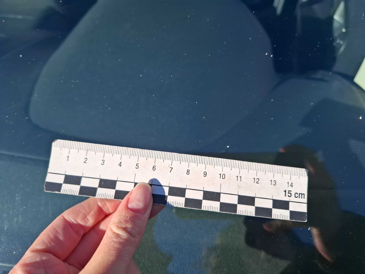 Ford EcoSport 2019 — photo 3