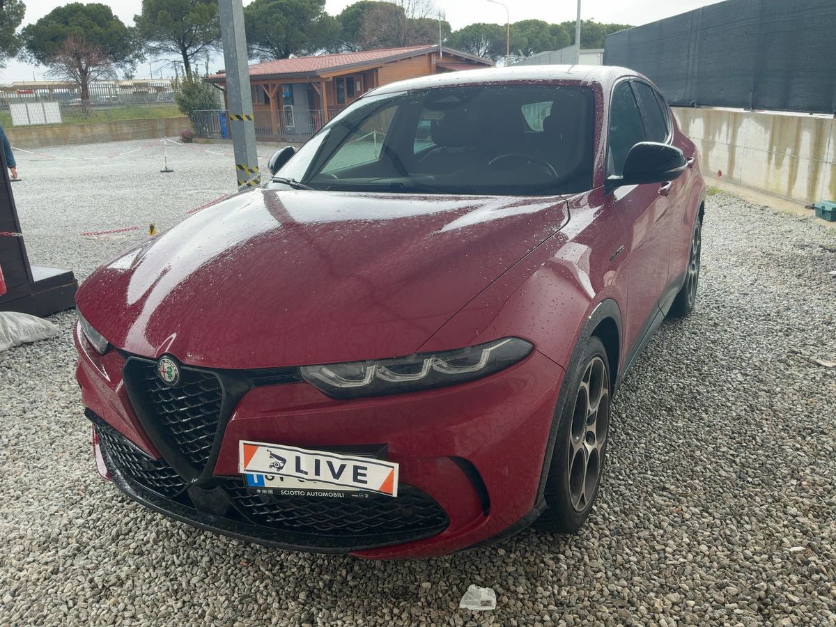 Alfa Romeo 2024