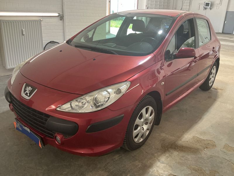 Peugeot 307 1.6 Grand Filou Cool