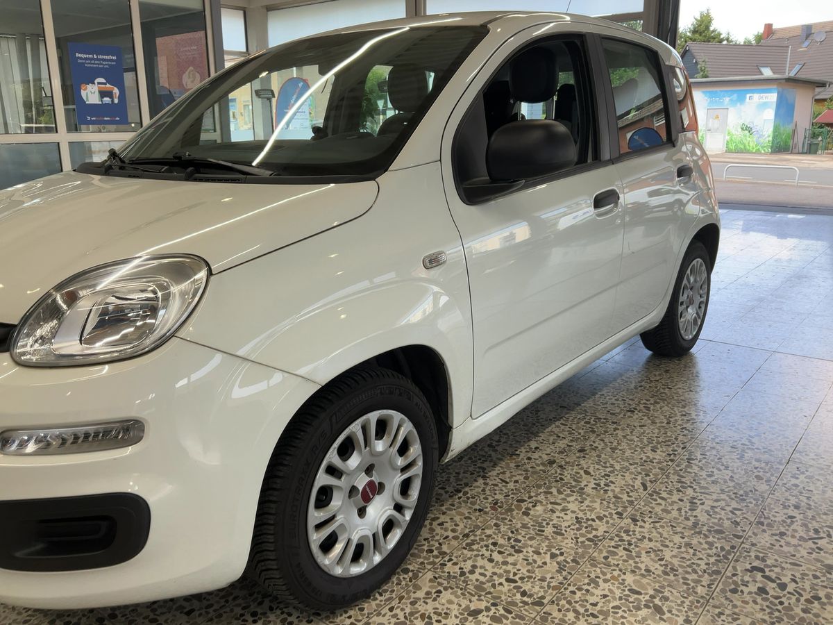 Fiat Panda d'occasion
