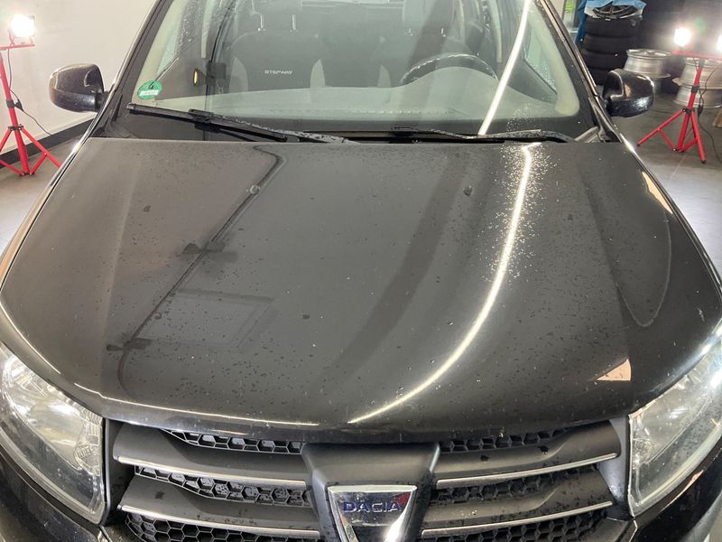 Dacia Sandero 1.5 dCi Stepway Prestige 2016 – снимка 41