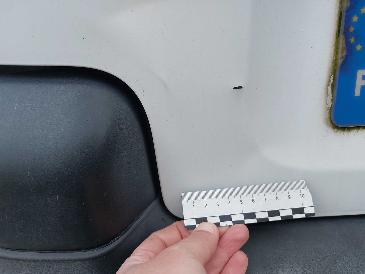 Citroen Berlingo 2013 — photo 68