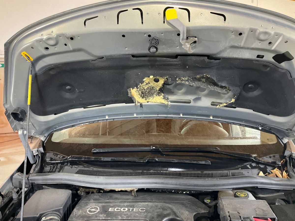 Opel Meriva 2014 — photo 28