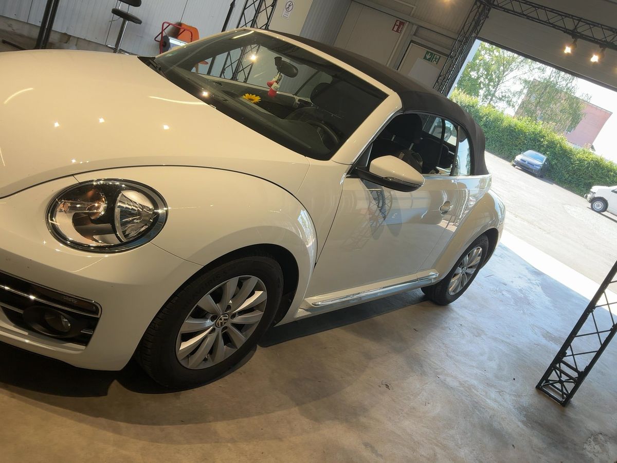 Volkswagen Beetle d'occasion