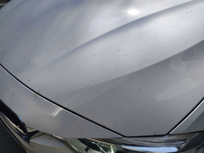 BMW 3er 318d Sport Line 2016 – снимка 36
