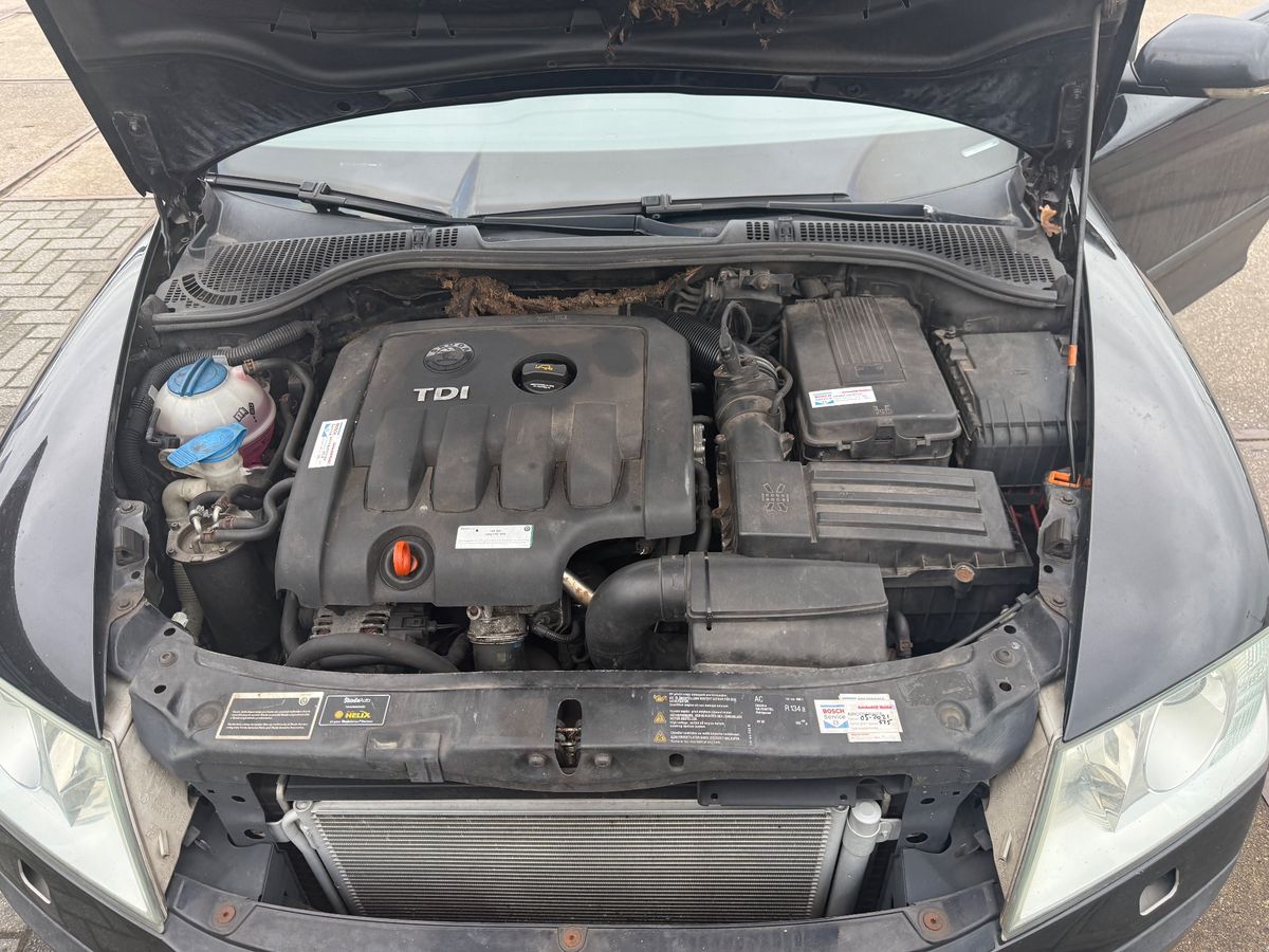 Skoda Octavia 2006 — photo 6