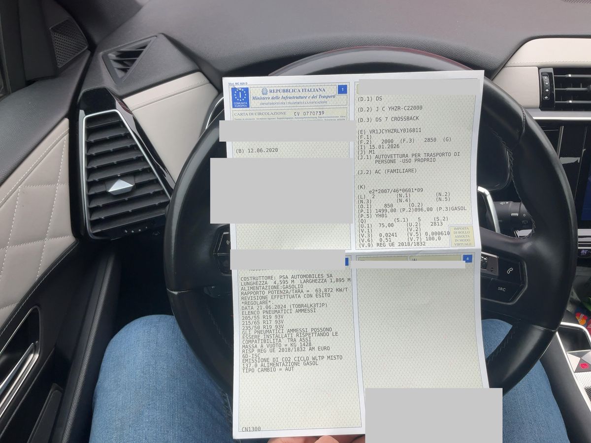 DS Automobiles d'occasion