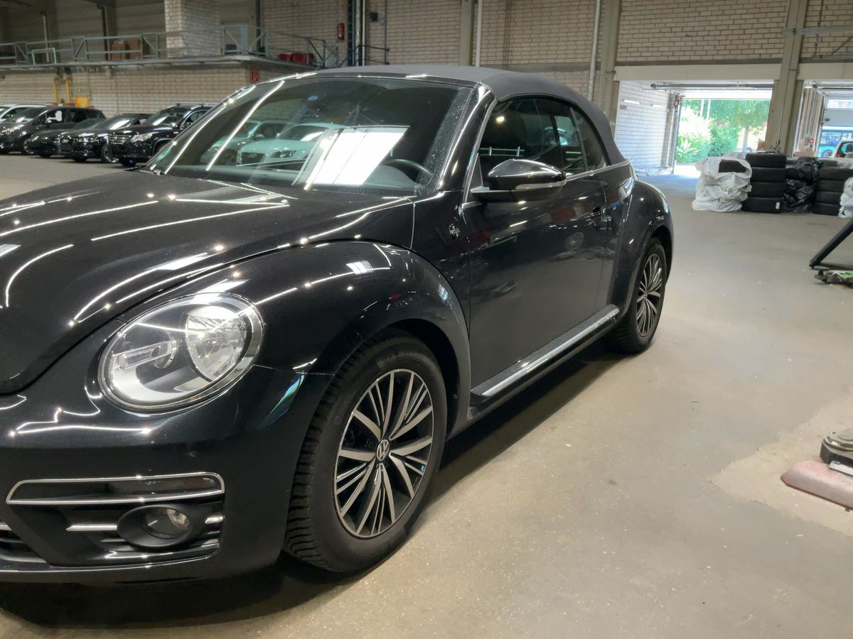 Volkswagen Beetle d'occasion