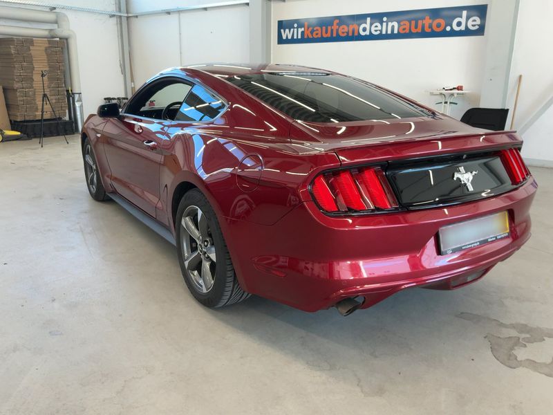 Ford Mustang 2.3 EcoBoost Basis — zdjęcie 3