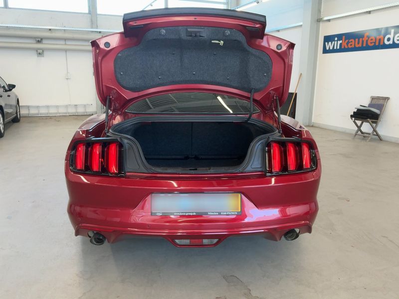 Ford Mustang 2.3 EcoBoost Basis — zdjęcie 10