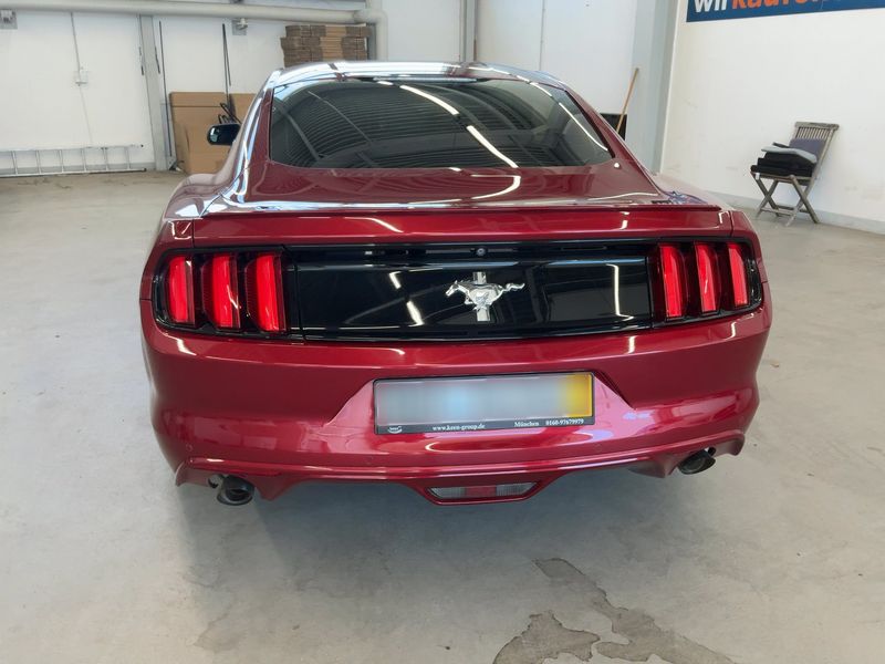 Ford Mustang 2.3 EcoBoost Basis — zdjęcie 5