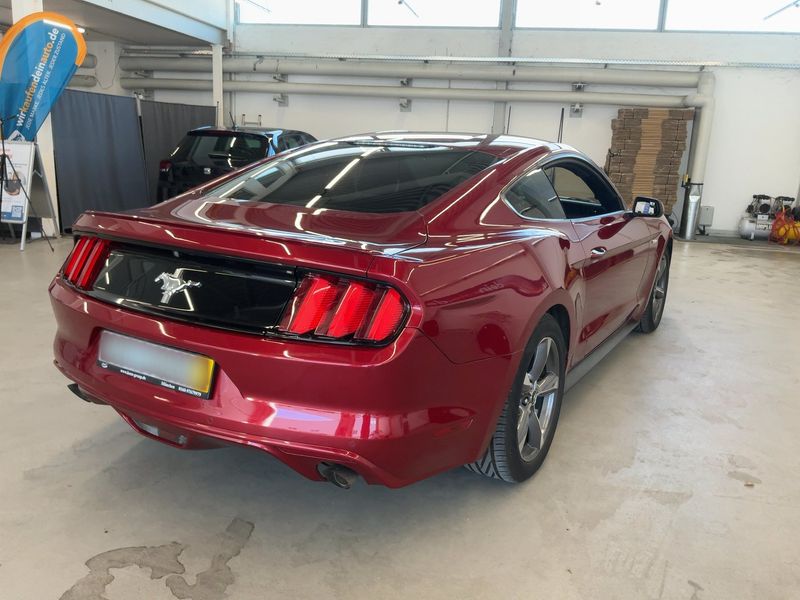 Ford Mustang 2.3 EcoBoost Basis — zdjęcie 6