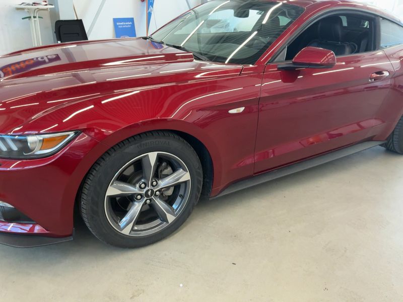 Ford Mustang 2.3 EcoBoost Basis — zdjęcie 2