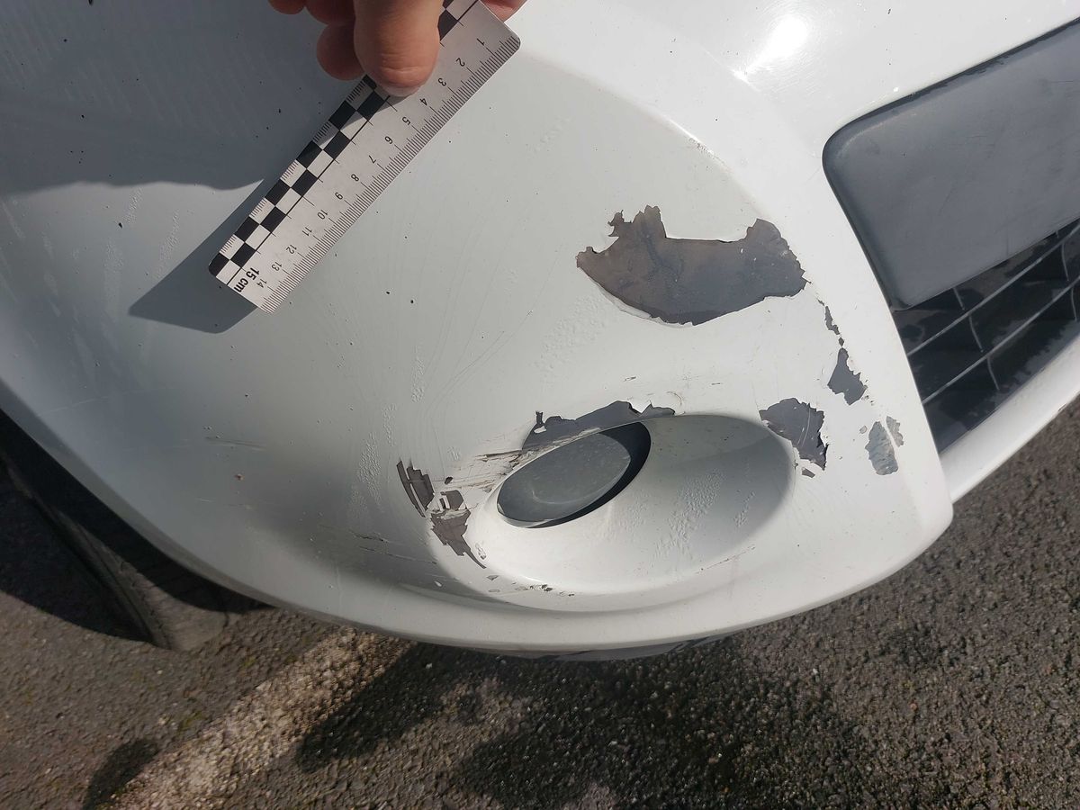 Renault Clio 2013 — photo 31