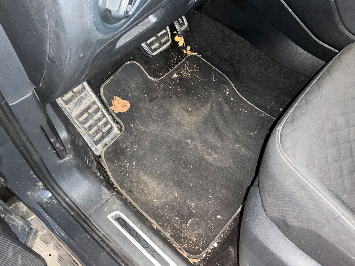 Volkswagen Tiguan 2019 — photo 36