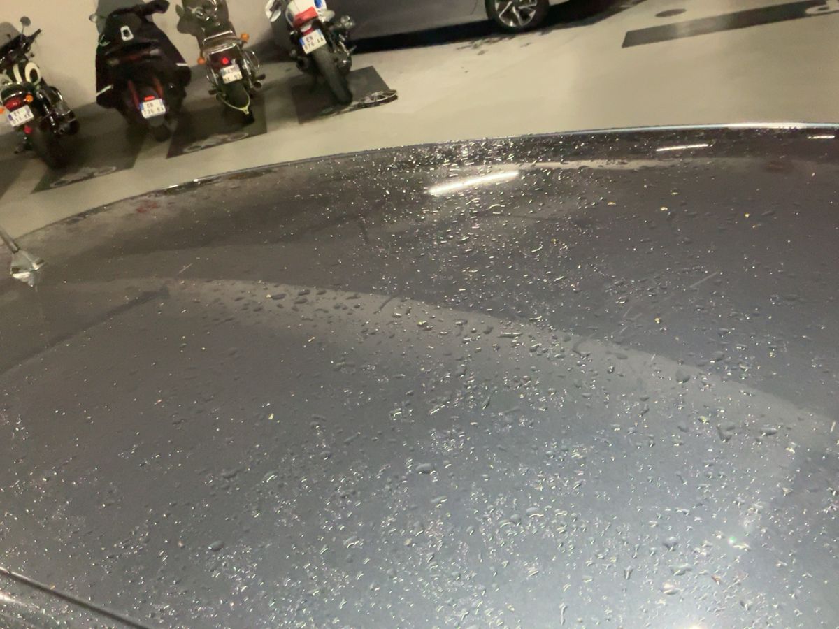 Renault Megane 2019 — photo 14