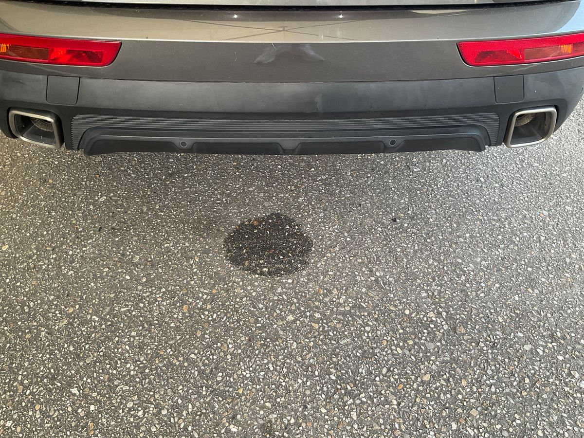 DS Automobiles 2020 — photo 39