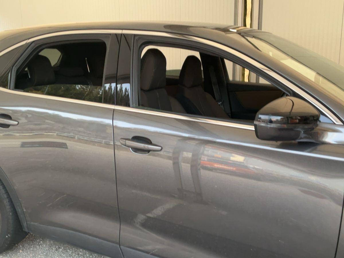 DS Automobiles 2020 — photo 11