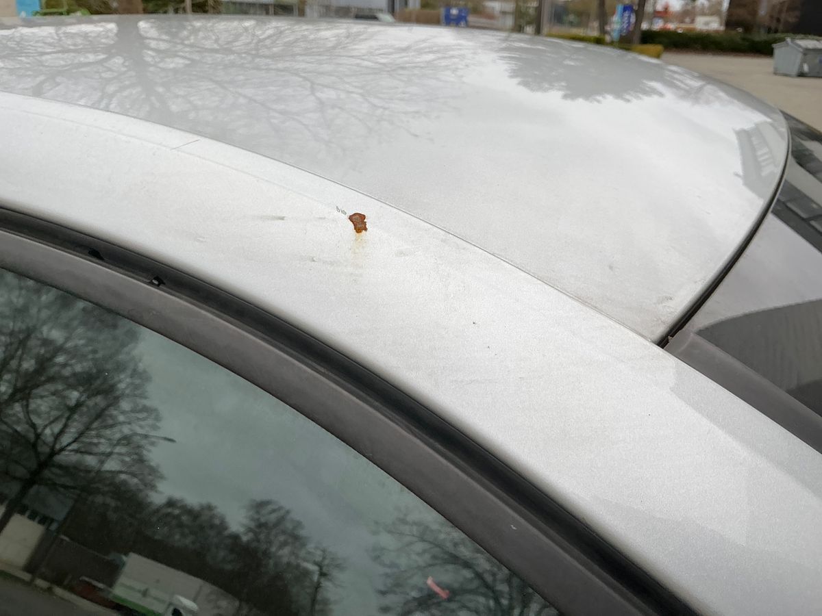Skoda Scala 2021 — photo 29