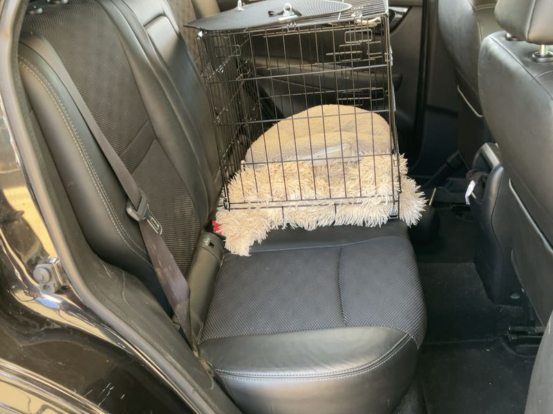 Nissan Qashqai 1.6 dCi Tekna — zdjęcie 14