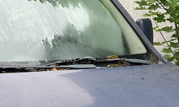 Opel Combo 1.6 Comfort Kasten — zdjęcie 4