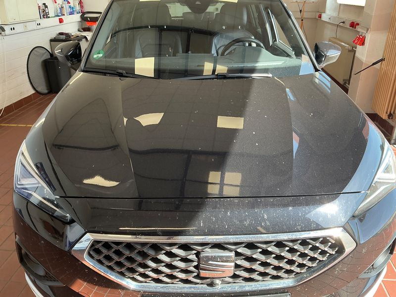 Seat Tarraco 2.0 TSI Xcellence 4Drive 2020 – снимка 35