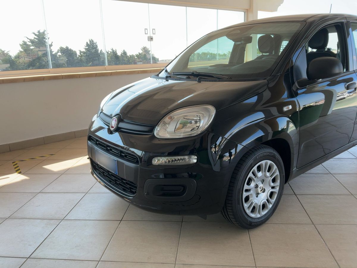 Fiat Pandina d'occasion