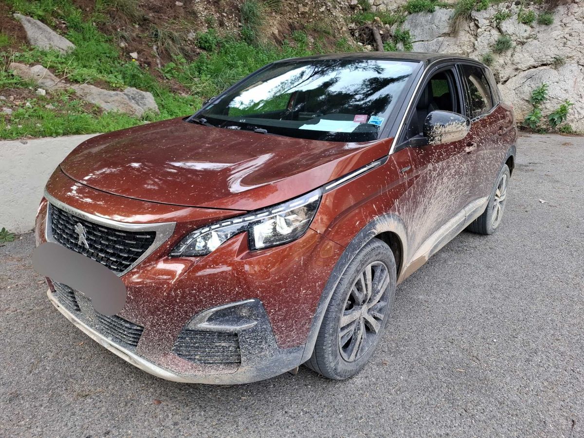 Peugeot 3008 d'occasion